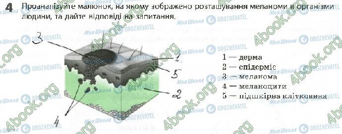 ГДЗ Біологія 10 клас сторінка Стр.73 (4)